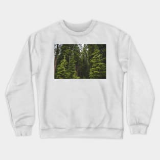 Magical Evergreen Mountain Woods Crewneck Sweatshirt